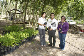 090901_reforestacion.JPG (352401 bytes)