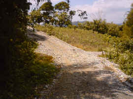 090905_espinal.JPG (577433 bytes)