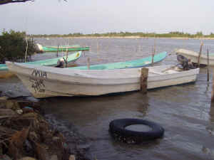 lagunadetamiahua.JPG (329105 bytes)