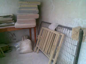 090525_casasalud_4.jpg (845804 bytes)