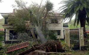 HURACANES.jpg (61282 bytes)
